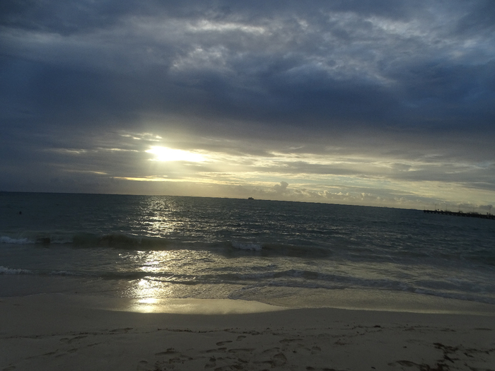DSC00715 (700x525, 299Kb)
