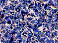 ���2 (117x88, 12Kb)