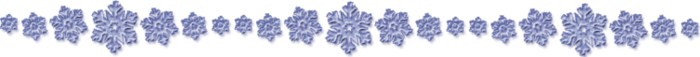 jan2 (700x57, 77Kb)