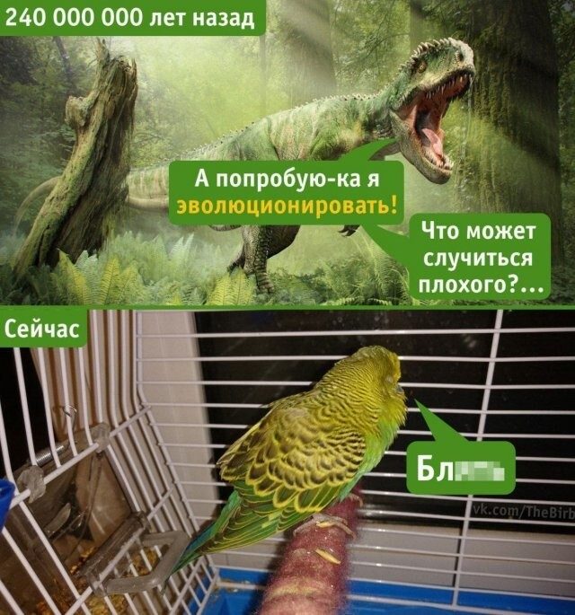 https://img1.liveinternet.ru/images/attach/d/4/161/312/161312943_5402287_c58d95614c.jpg