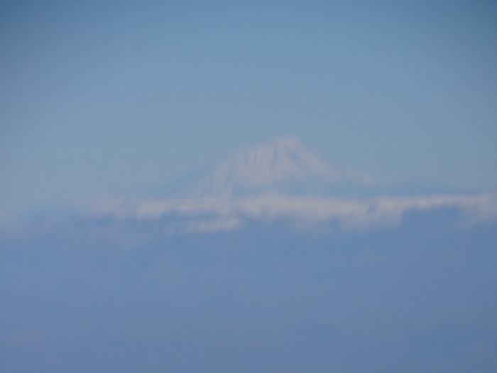 DSC00472 (700x525, 209Kb)