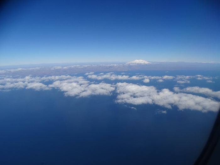 DSC00478 (700x525, 258Kb)