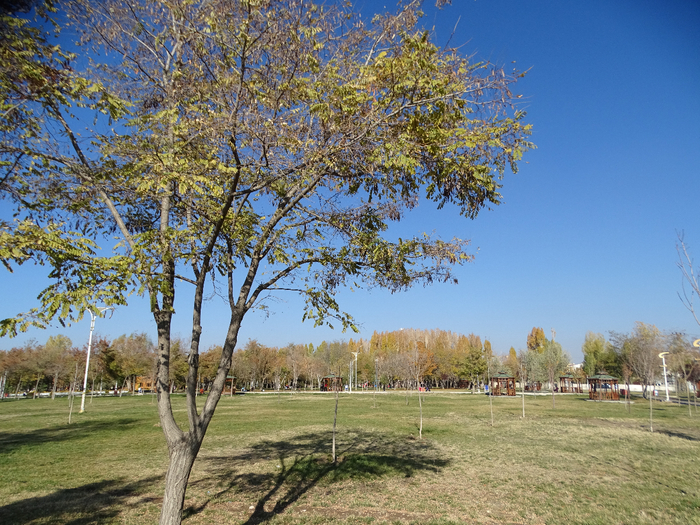 DSC00517 (700x525, 580Kb)