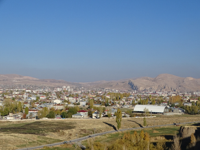 DSC00570 (700x525, 378Kb)