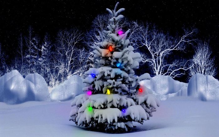 beautiful-christmas-tree-snow-wallpaper-1 (700x437, 64Kb)