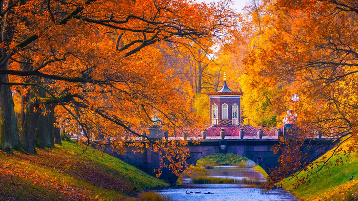 Catherine Park autumn landscape, Tsarskoye Selo (Pushkin) near St. Petersburg, Russia (700x393, 589Kb)