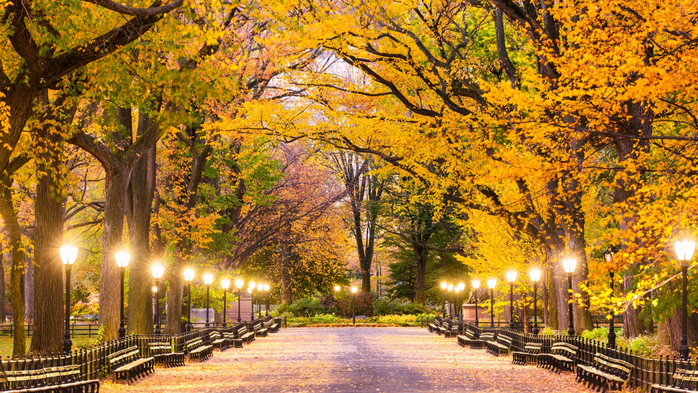 Central Park at The Mall during predawn, Manhattan, New York City, USA (700x393, 587Kb)