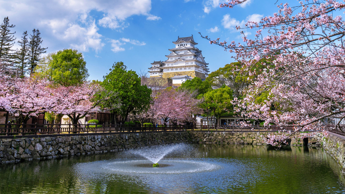 Cherry blossoms and castle in Himeji, Hyōgo Prefecture, Japan (700x393, 482Kb)
