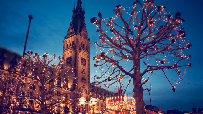 Christmas market at the Hamburg Rathaus Markt, Germany (700x393, 446Kb)