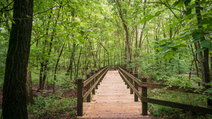 Boardwalk at George Washington Carver National Monument, Newton County, Missouri, USA (700x393, 488Kb)