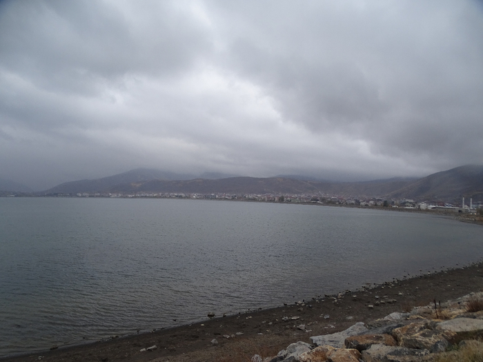 DSC00960 (700x525, 263Kb)