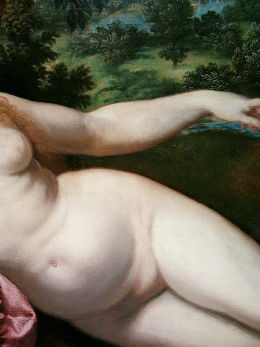 1545-1550 Venus And Cupid. Detail (525x700, 114Kb)