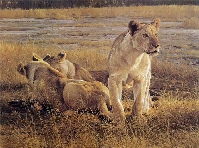 Robert Bateman _art_animals (16) (700x519, 485Kb)