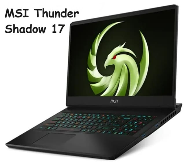 MSI Thunder Shadow 17 (650x560, 97Kb)