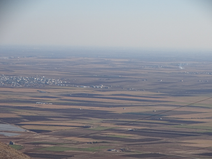 DSC01182 (700x525, 320Kb)