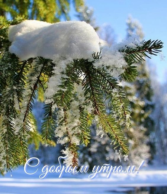 IMG_20240129_044601 (564x654, 653Kb)