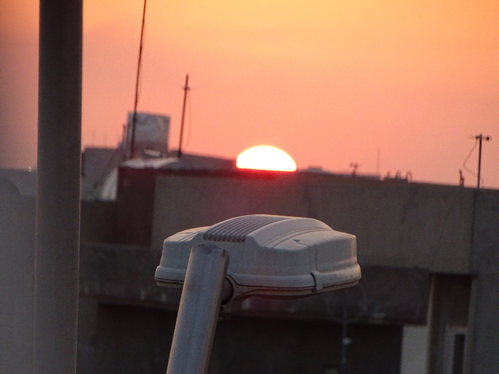 DSC00207 (700x525, 320Kb)