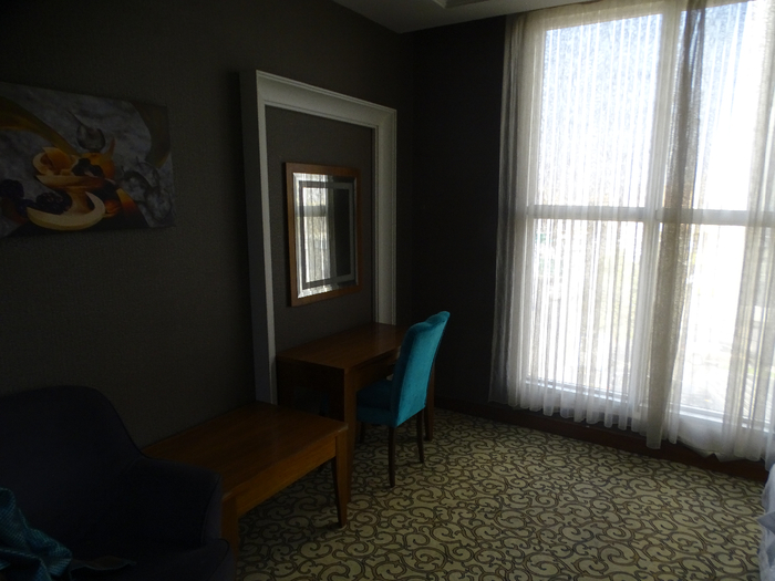 DSC00222 (700x525, 321Kb)