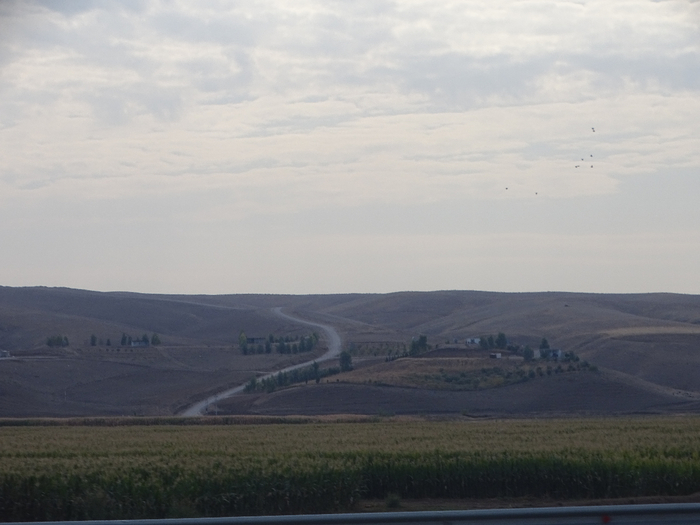 DSC00254 (700x525, 260Kb)