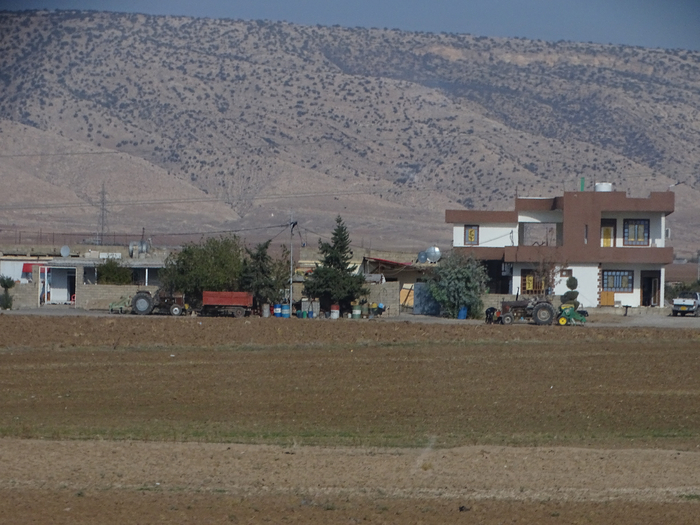 DSC00269 (700x525, 382Kb)