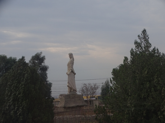 DSC00282 (700x525, 270Kb)