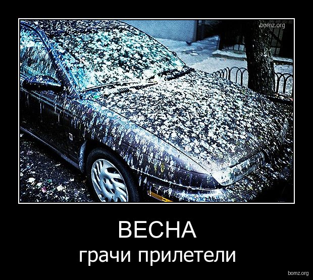 5402287_3738102011_04_0405_03_28bomz_orgdemotivator_vesna_grachi_prileteli (620x555, 104Kb)