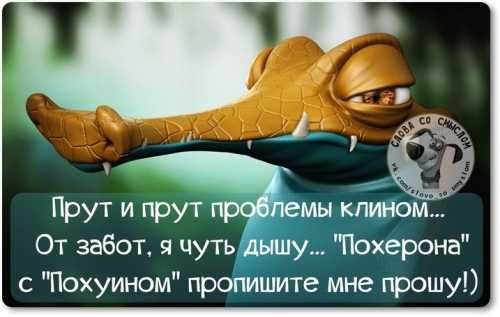 5402287_4258c283780c1c1184ace470e920b8ce (500x317, 23Kb)