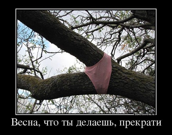 5402287_92836767_vesnachtotyidelaeshprekrati (700x550, 94Kb)