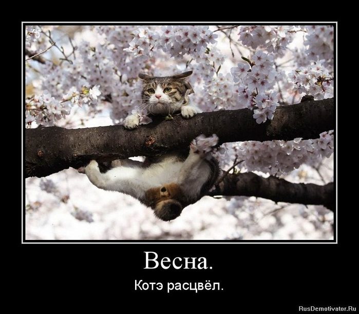 5402287_1330280688vesna_ (700x610, 71Kb)