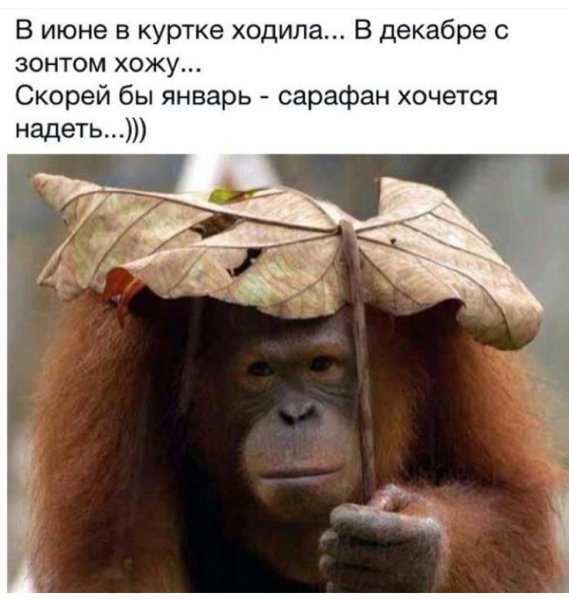 5402287_1688459109_kartinpapikpropkartinkiprikoliproletosnadpisyami49 (569x600, 54Kb)