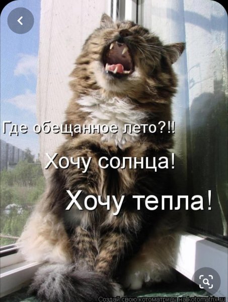 5402287_1688459112_kartinpapikpropkartinkiprikoliproletosnadpisyami69 (453x600, 60Kb)