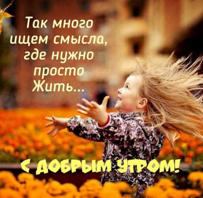 UID1133983_1593968117_5 (700x681, 459Kb)