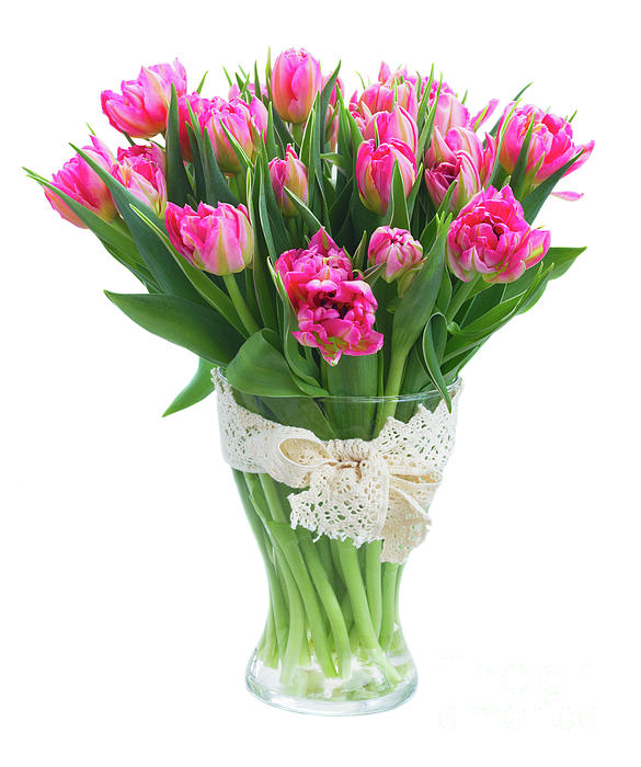 bouquet-of-pink-tulips-m-anastasy-yarmolovich (585x700, 130Kb)