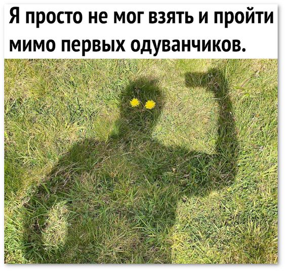 5402287_345b5814c434f6b80ca6c11ee79f5a26 (563x536, 105Kb)