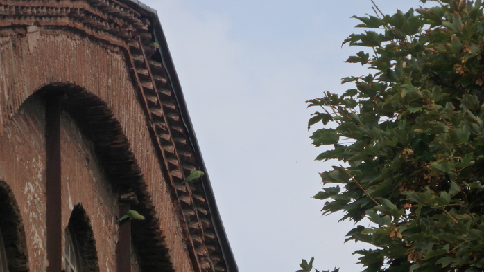P9130124 (700x393, 286Kb)
