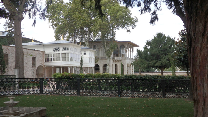 P9130170 (700x393, 340Kb)