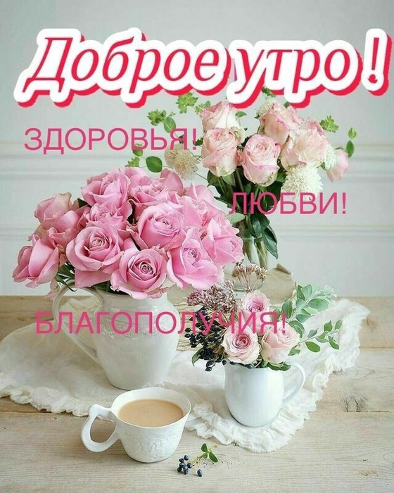 UID11848_1593158219_91 (560x700, 412Kb)