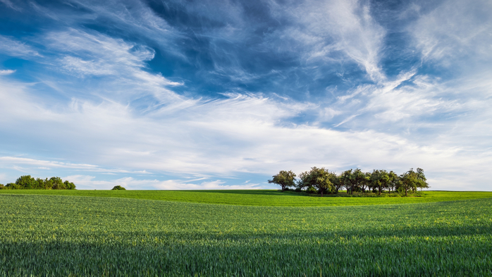 From Blue To Green (700x393, 339Kb)