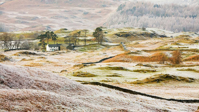 Hoar frost on vegetation near Coniston, Lake District (700x393, 411Kb)