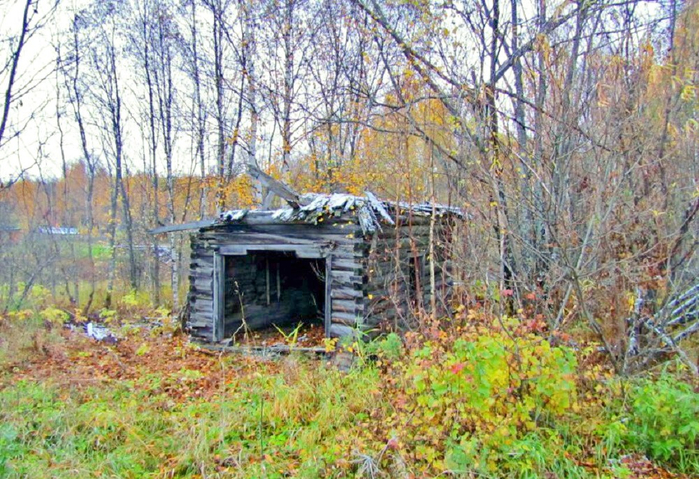 Харюшинская. Часовня Покрова Пресвятой Богородицы, нач. ХХ в. (700x479, 500Kb)