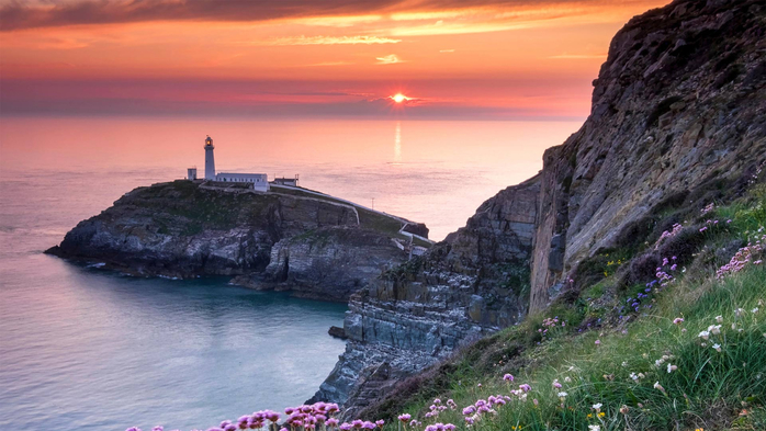 South Stack Lighthouse and coastal wildflowers at sunset, Anglesey (700x393, 311Kb)