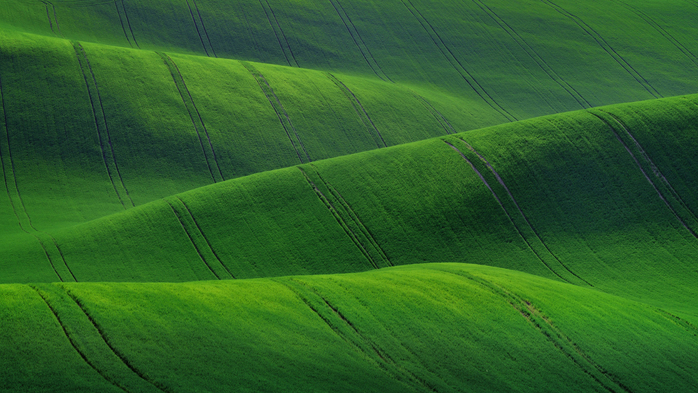Spring rural landscape of agricultural fields of South Moravia, Czech Republic (700x393, 394Kb)