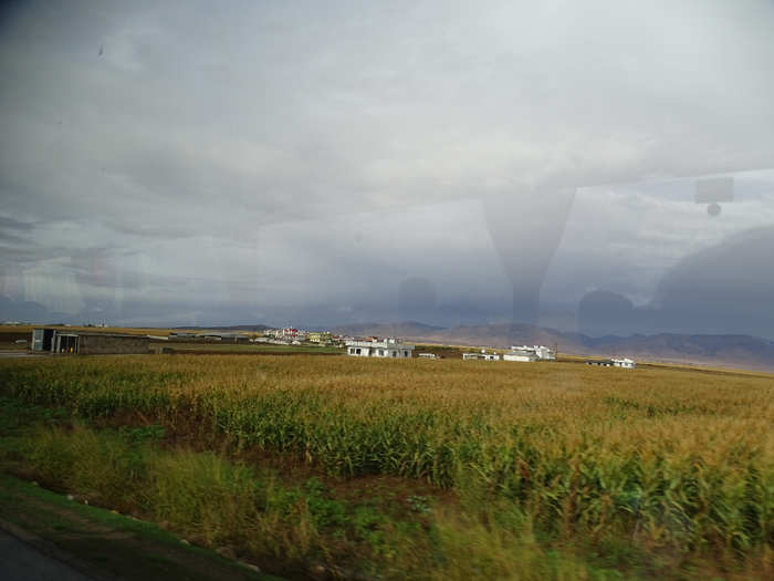 DSC00302 (700x525, 305Kb)