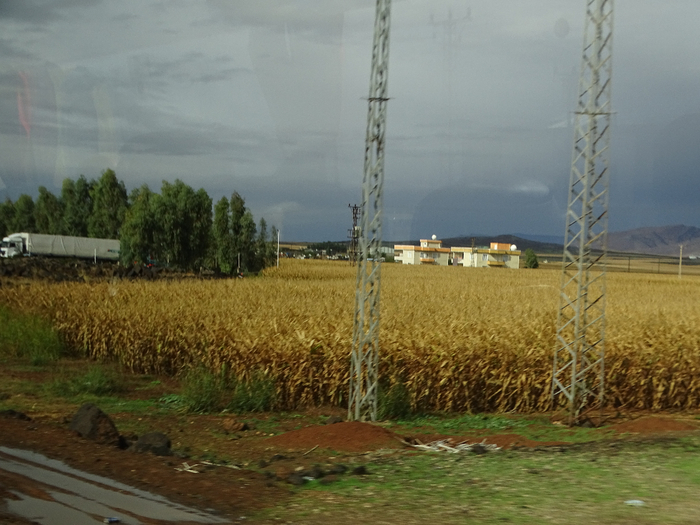 DSC00304 (700x525, 373Kb)
