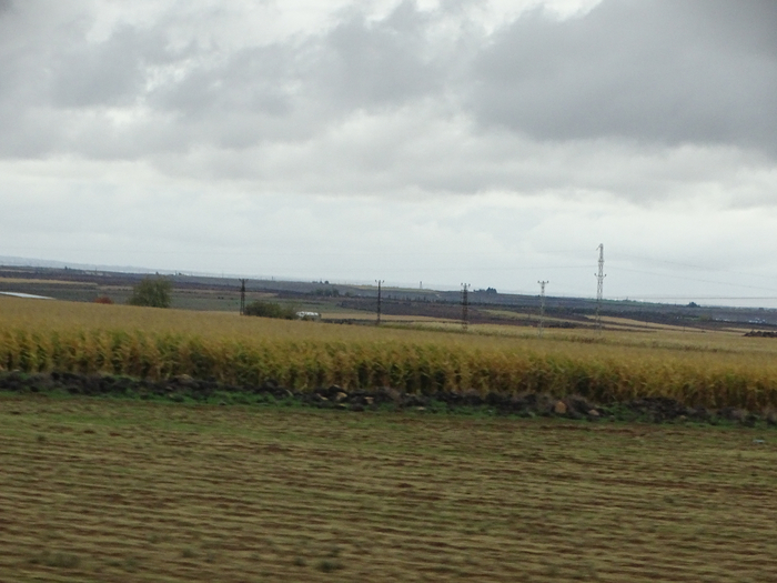DSC00310 (700x525, 326Kb)