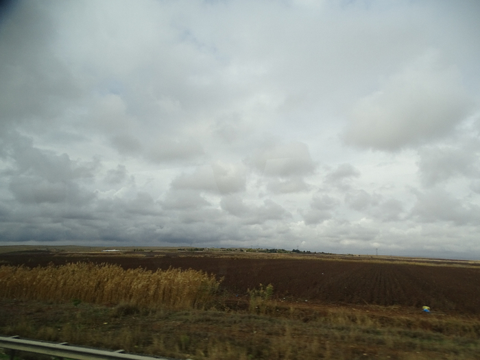 DSC00320 (700x525, 253Kb)