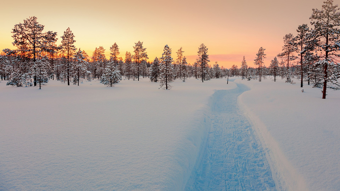 Sundown in winter snowy forest, Lapland, Finland (700x393, 310Kb)