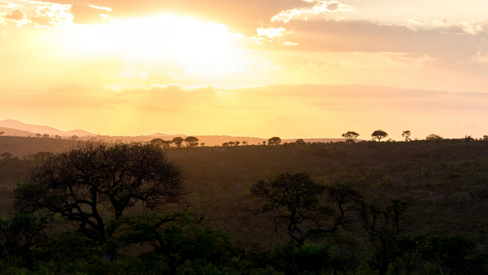 Sunrise At Hluhluwe Game Reserve South Africa (700x393, 279Kb)