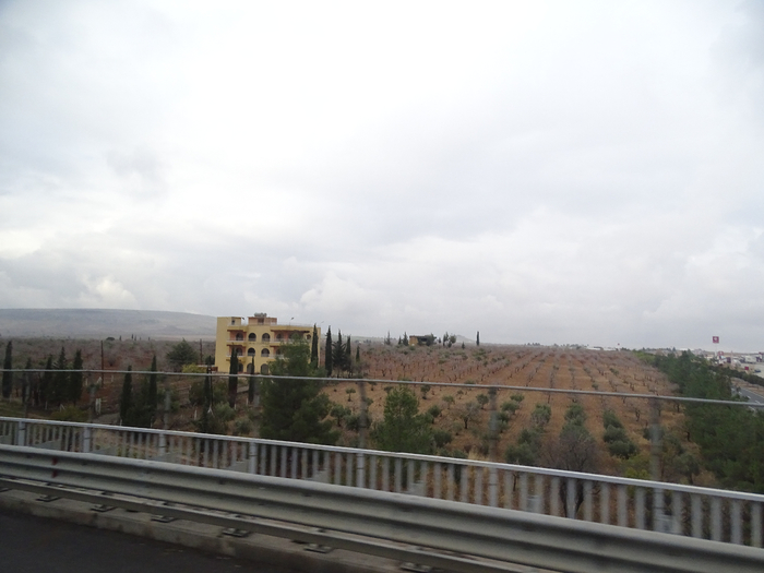 DSC00343 (700x525, 256Kb)