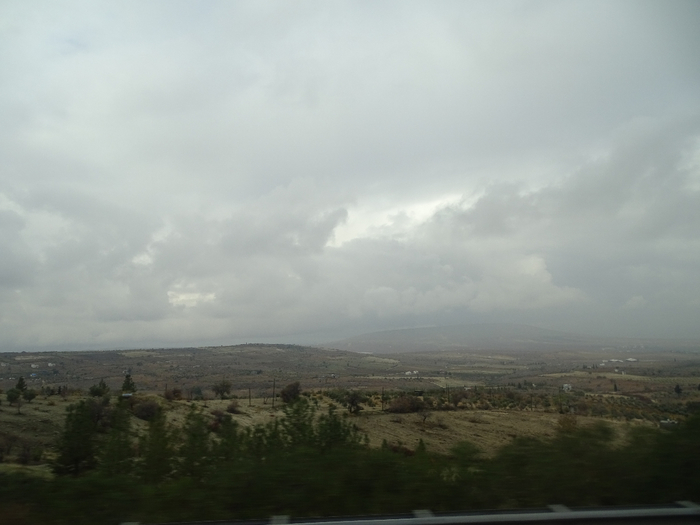 DSC00345 (700x525, 222Kb)